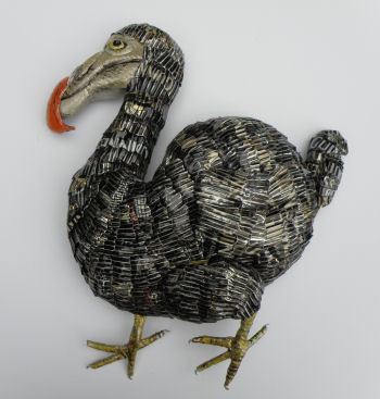 dodo