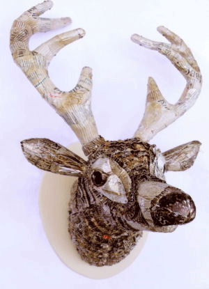 matured stag