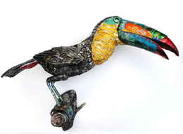 toucan